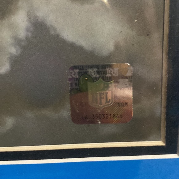 Cam Newton A Panther Pointing to the Heavens - Picture 2 of 6